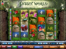 insect world gokkast