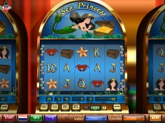 sea princess gokkast